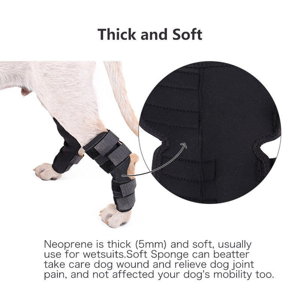 Protector de Rodilla para Mascotas - Recuperación Quirúrgica