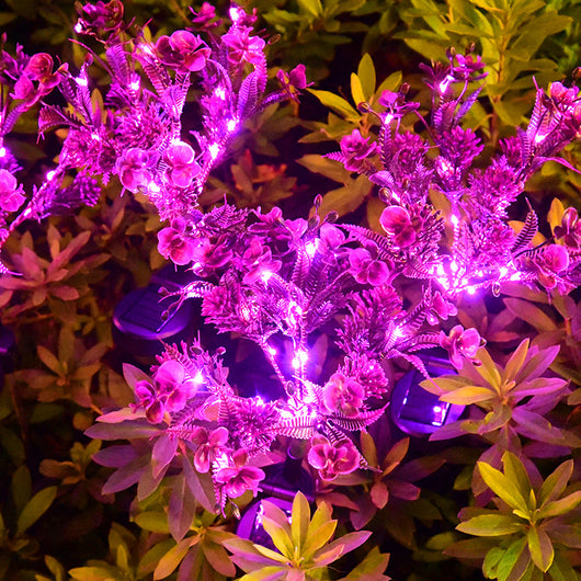 Linterna Solar Festiva Phalaenopsis para Exterior - Image 5