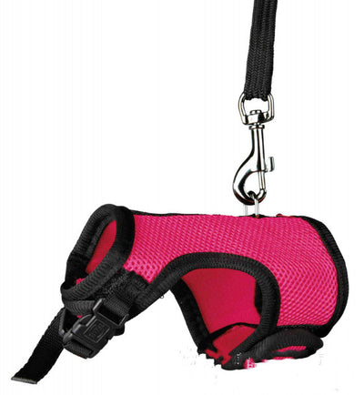 Correa de Seguridad para Mascotas Pequeñas - Image 3