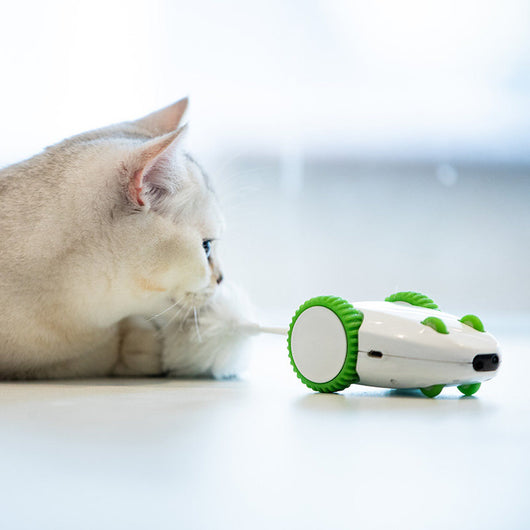 White and green robotic mouse cat toy with wheels and a feather tail, shown in motion on a white background. - Image 7