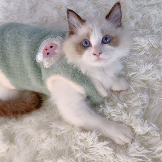 Suéter Cálido de Felpa para Mascotas en Invierno - Image 11