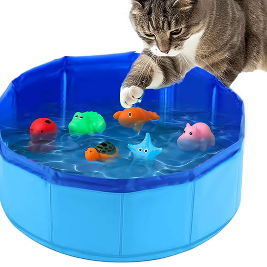 Piscina Plegable para Mascotas con Juguetes Vinílicos - Image 13