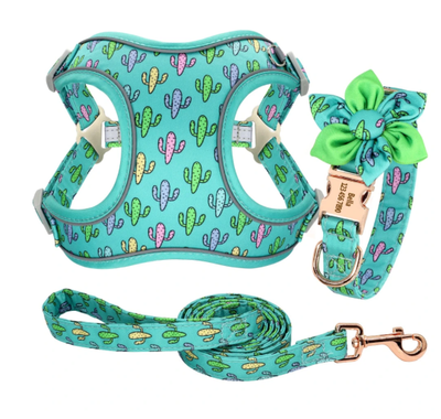 Arnés y Correa para Perros Pequeños Pomerania y Bichón - Chaleco Ajustable con Cadena - Image 8