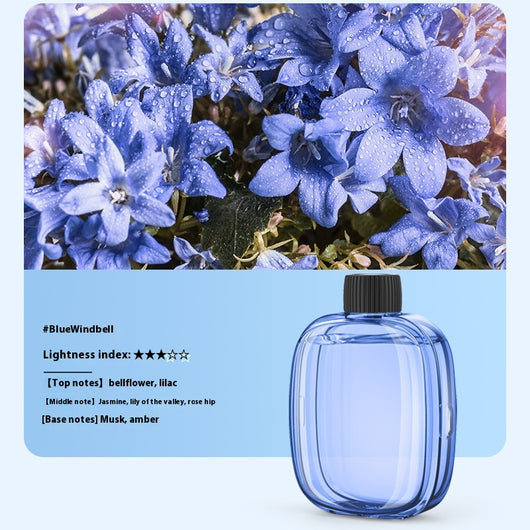 Aceites Esenciales Compatibles con Difusor Aroma V01pro - Image 12