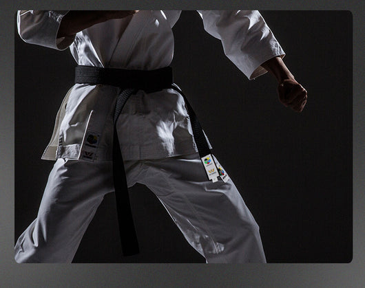 Curso de Entrenamiento y Examen para Cinturón de Karate - Image 9