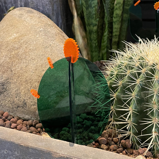 Decoración de Escritorio Cactus Acrílico - Image 5