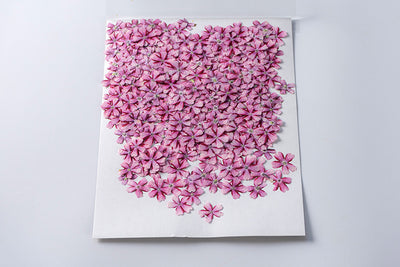Marcapáginas con Flor de Cerezo Deshidratada - Accesorio Ornamental con Espécimen Botánico - Image 23