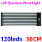 US Large - 30cm
