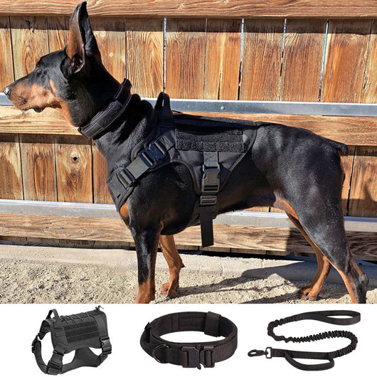 Chaleco Táctico para Perros en Nylon con Cierre Rápido - Image 16