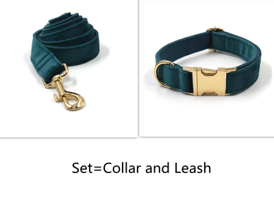 Collar y Correa para Mascotas Terciopelo Verde Esmeralda con Herrajes Dorados - Image 7