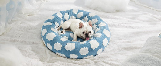 Cama Donut para Gatos y Perros Pequeños - Cama Calmante Moderna con Funda Jacquard Suave - Image 22