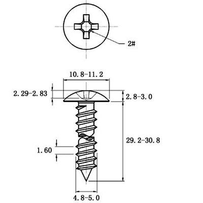 Tornillo Autorroscante de Acero Inoxidable Cabeza Ancha Tipo Champiñón - Image 39