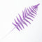 Morado