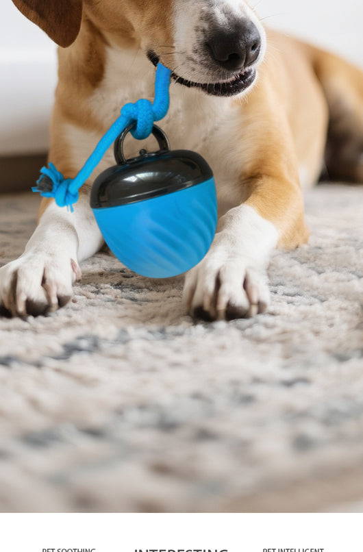 Red and black smart interactive pet toy ball with a textured swirl pattern and an attached red rope. - Image 31