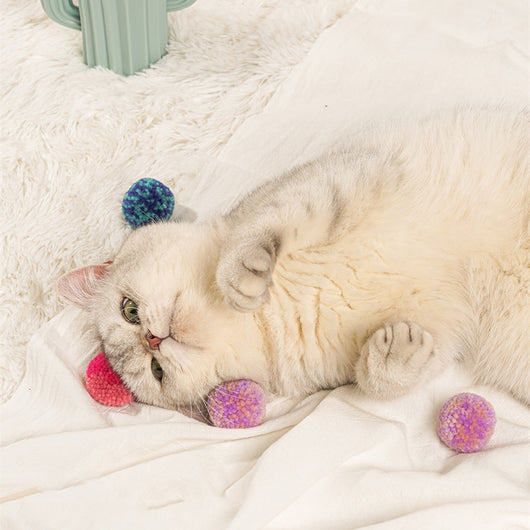 Two fluffy cat pom-pom toys, one pink and blue, one pink, in a clear box with a small bottle of catnip hydrosol. - Image 3