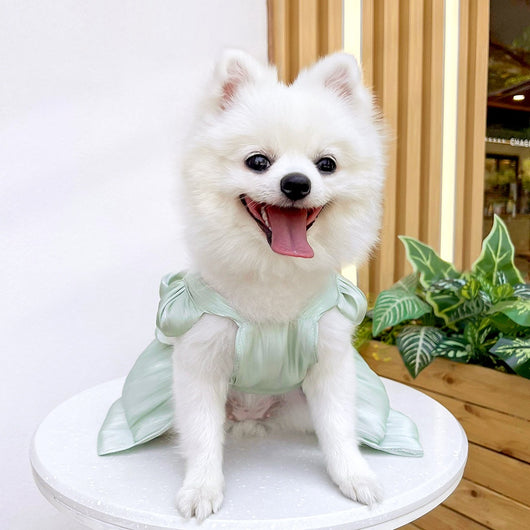 Vestido de Boda para Mascotas - Ropa Elegante para Perros y Gatos - Image 40