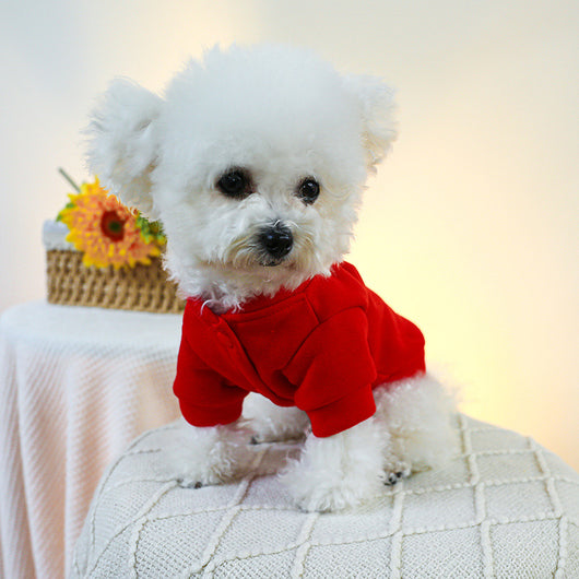 Suéter Antideslizante para Perros y Gatos - Image 11