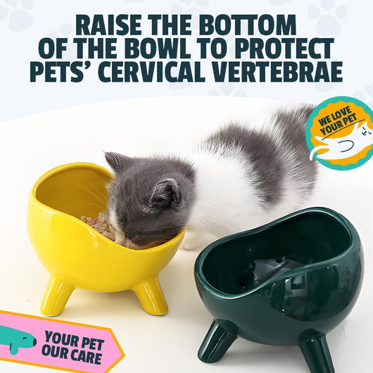 Comedero y Bebedero Cerámico para Gatos y Perros Pequeños con Base Antideslizante - Image 7