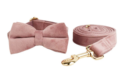 Collar para Perro Morado Claro con Cuerda Ajustable - Image 18