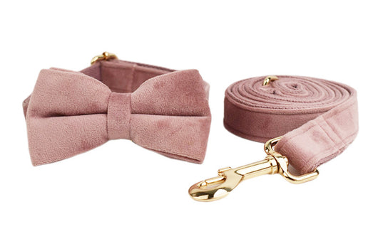 Collar para Perro Morado Claro con Cuerda Ajustable - Image 18