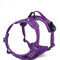 Purple L