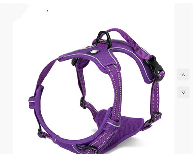 Arnés Reflectante para Perros Acolchado de Nylon - Seguridad Todo Clima - Image 9