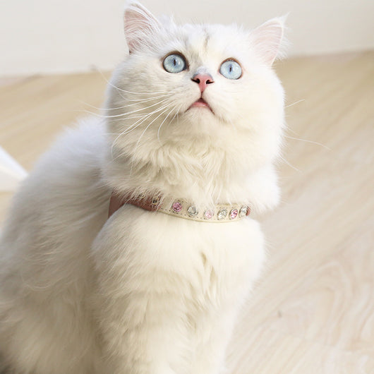Traje Protector Diamond en Cuero PU para Perros y Gatos - Image 14
