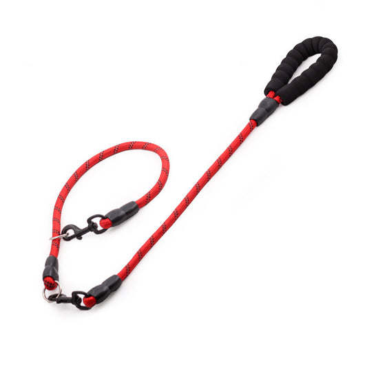 Cadena y Cuerda para Perros Grandes Golden Retriever - Accesorios Mascotas Premium - Image 12