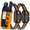 R1 Orange For Two Dogs