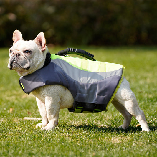 Chaleco Salvavidas Reflectante para Perros con Diseño de Traje de Baño