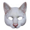 Gato Blanco