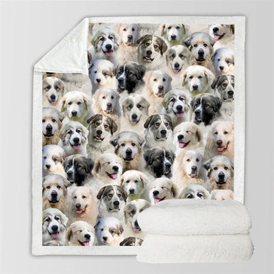 Manta Flanela Estampada para Perros de Moda - Image 94