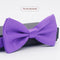 Morado Brillante