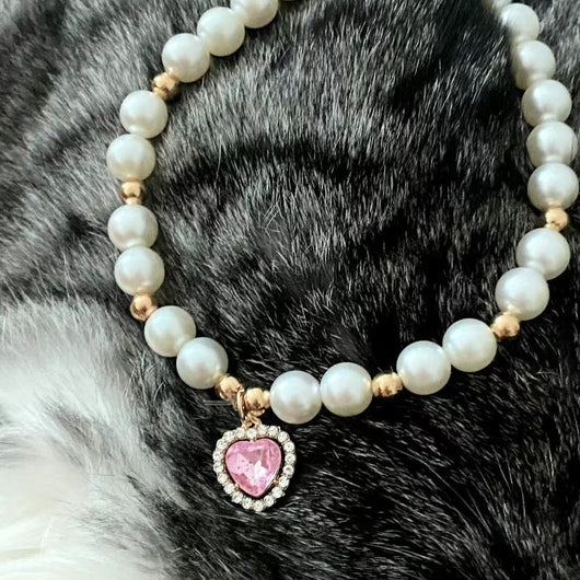 Collar de Perla Gato Celebridad de Internet - Image 7