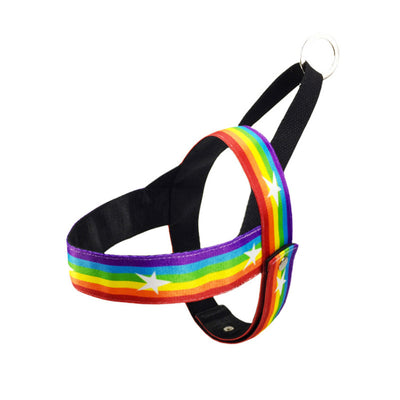 Arnés de Pecho para Perros Pequeños - Diseño Deportivo para Exteriores - Image 4