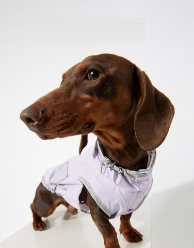 Chaleco Impermeable Ultradelgado para Perros - Protección contra Agua y Viento - Image 5