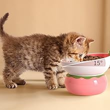 Comedero Elevado de Cerámica para Gatos - Diseño Ergonómico Anti-Vómito Rosa - Image 15