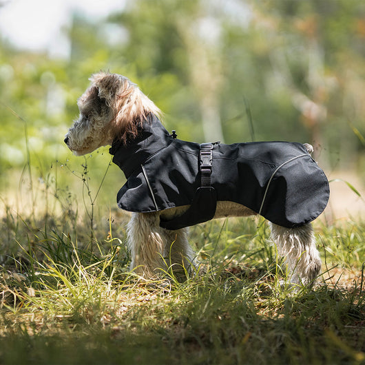 Poncho Impermeable Universal para Perros Pequeños y Medianos - Image 10