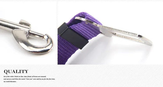 Pink adjustable dog car seat belt with a metal seatbelt buckle and a silver swivel snap hook. - Image 19