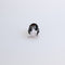 King Charles Dog Clip