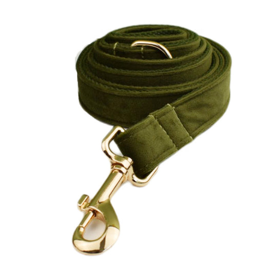 Collar para Perro de Terciopelo Suave - Image 14