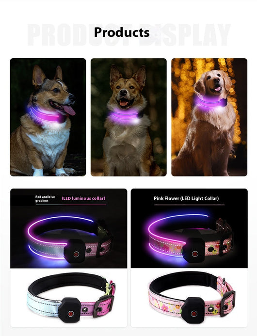 Collar Luminoso USB para Perros con Banda Reflectante y Impresión LED - Image 8