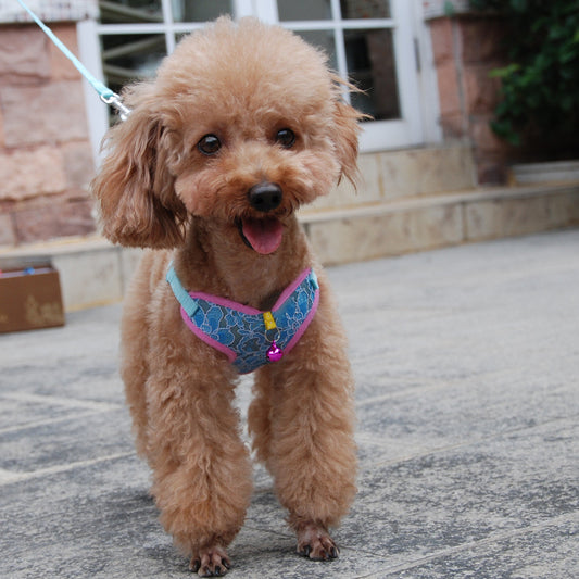 Arnés de Pecho Tipo Camiseta para Perros y Gatos
