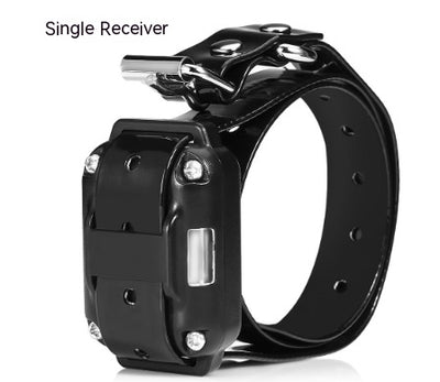 Collar de Entrenamiento para Perros con Control Remoto - Image 15