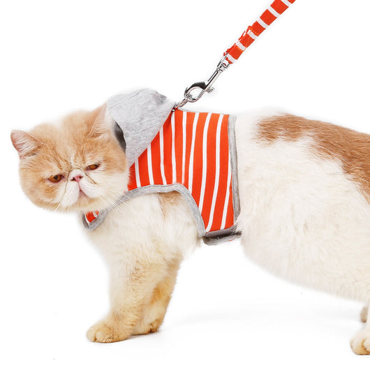 Chaleco arnés para gato con capucha para paseos - Image 9