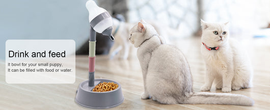 Dispensador Automático de Agua para Mascotas con Altura Ajustable - Image 11