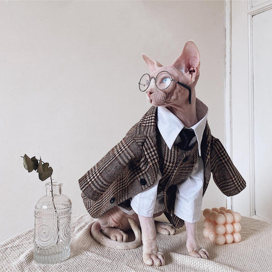 Traje Elegante para Gatos Sphynx y Razas sin Pelo