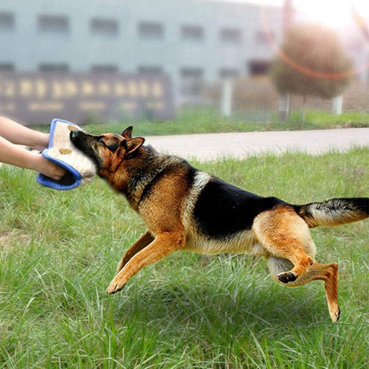 Almohada de Entrenamiento para Perros Pastor Alemán Resistente al Desgarre - Image 8