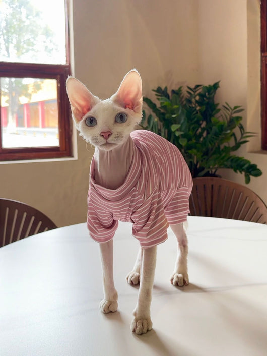 Ropa Transpirable para Gatos - Diseño Ligero y Fresco - Image 15