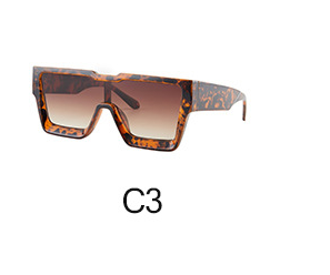 Gafas de Sol Personalizadas Montura Integral Trendy - Image 5